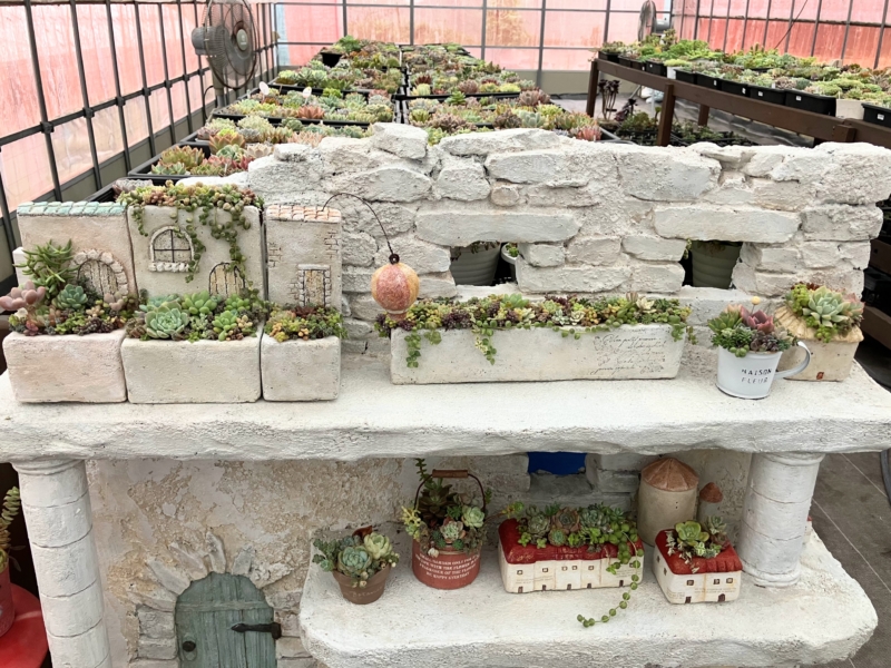 Thumbnail of post image 104