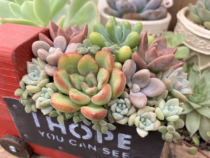 Thumbnail of new posts 159