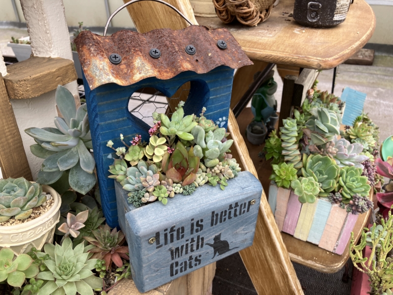 Thumbnail of post image 143